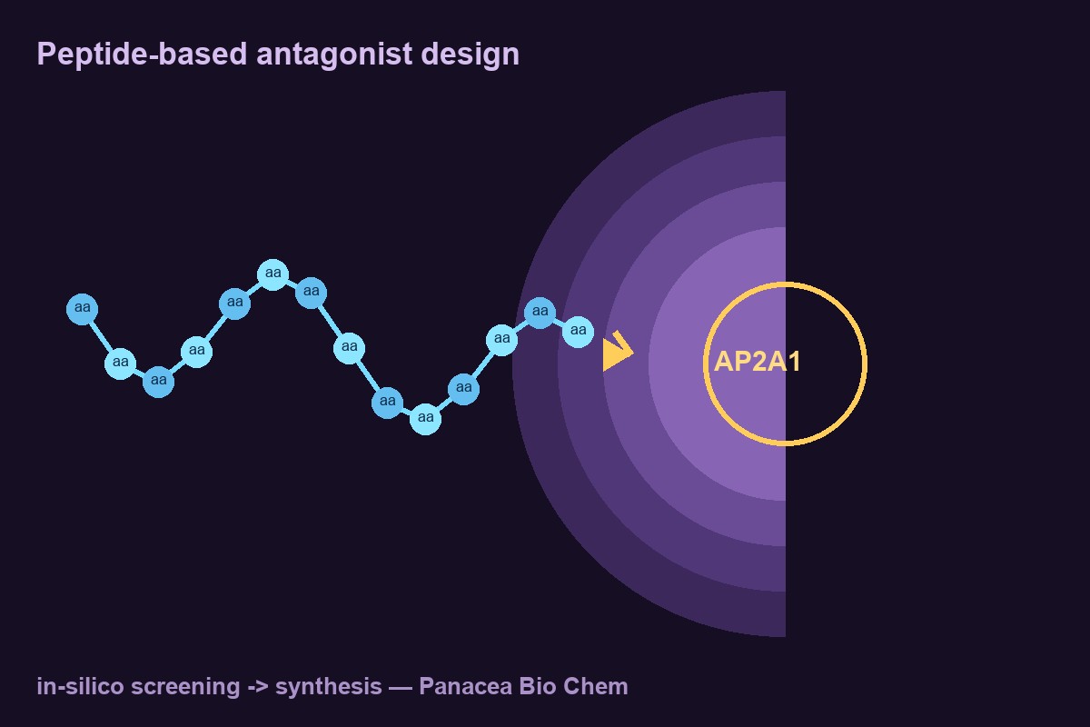 Designer peptide docking onto the AP2A1 hub — Panacea Bio Chem antagonist design concept